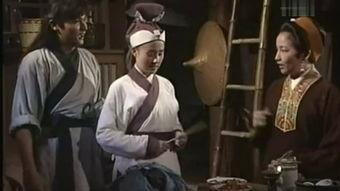 武打电视剧,武打传奇的激情岁月